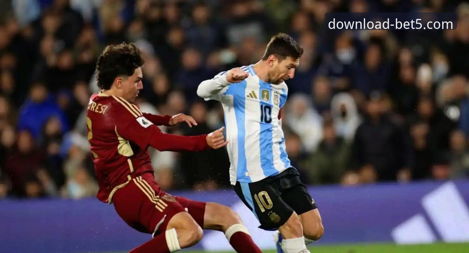 阿根廷世界杯前景如何？解析帕尼切利重伤背后的战术隐忧与数据洞察